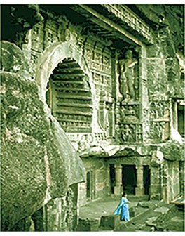 Thés verts des Indes : Le...