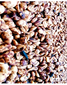 Nos assemblages café pour...