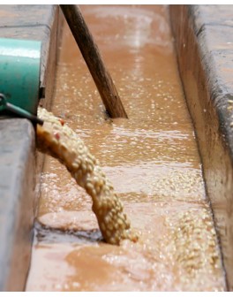 Nos assemblages café pour...