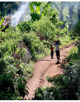 Nos cafés éthiopiens :...