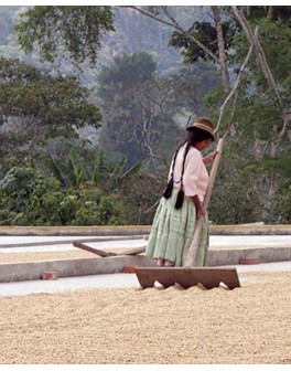 DK Naturel Maison : 100%...