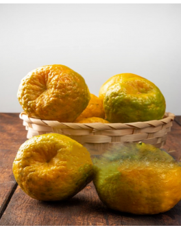 Les plus belles fragrances...