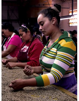 Nos cafés d'Amériques :...