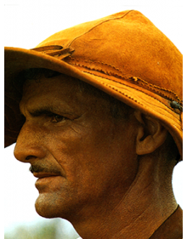 Nos cafés brésiliens :...